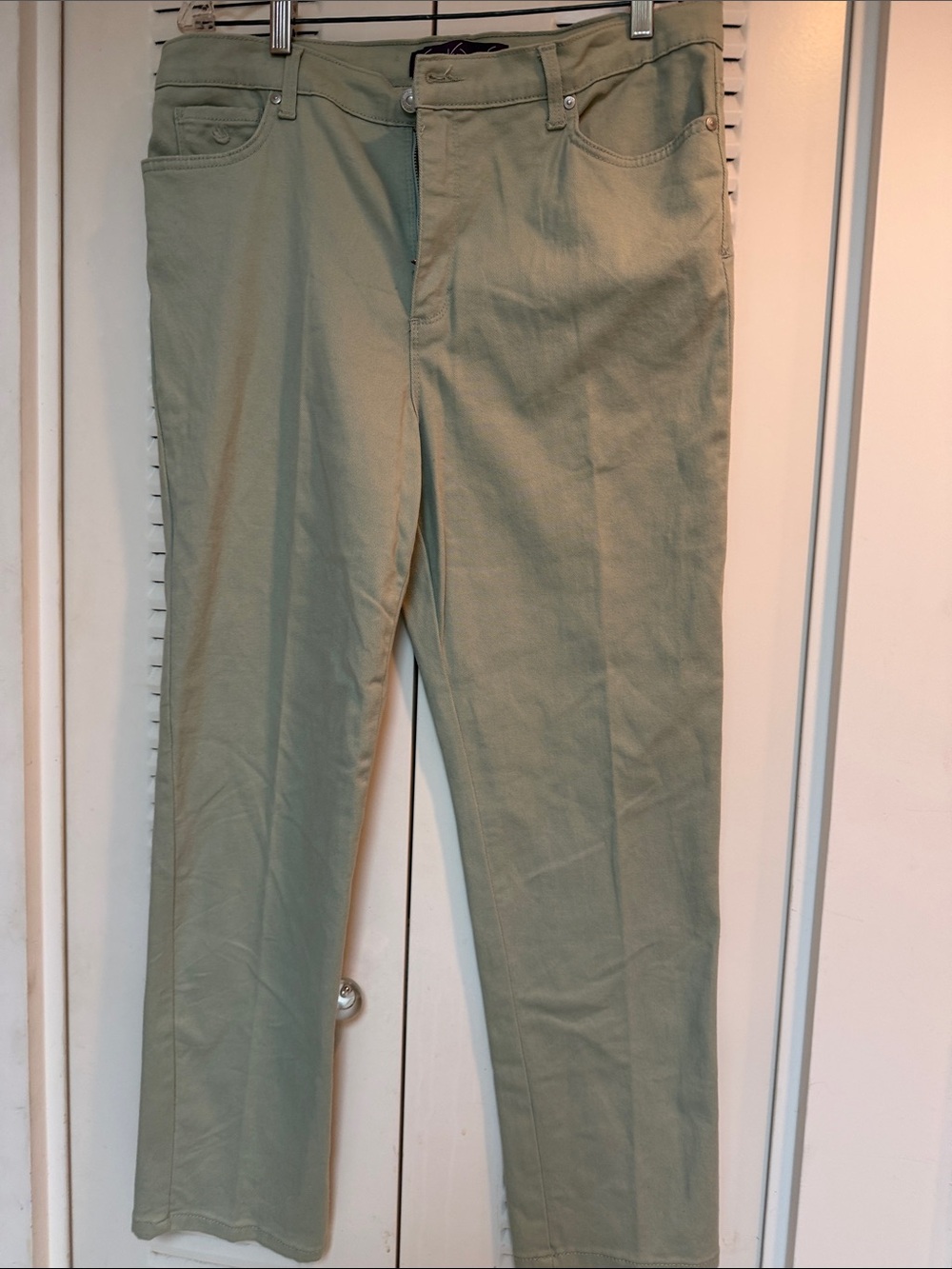 Gloria Vanderbilt Straight-Leg Chinos in Light Olive